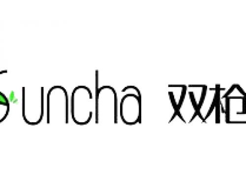 行业霸主的制霸秘诀——双枪竹木